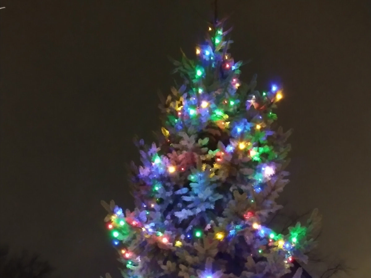 kerstboom in het donker met veel gekleurde lampjes