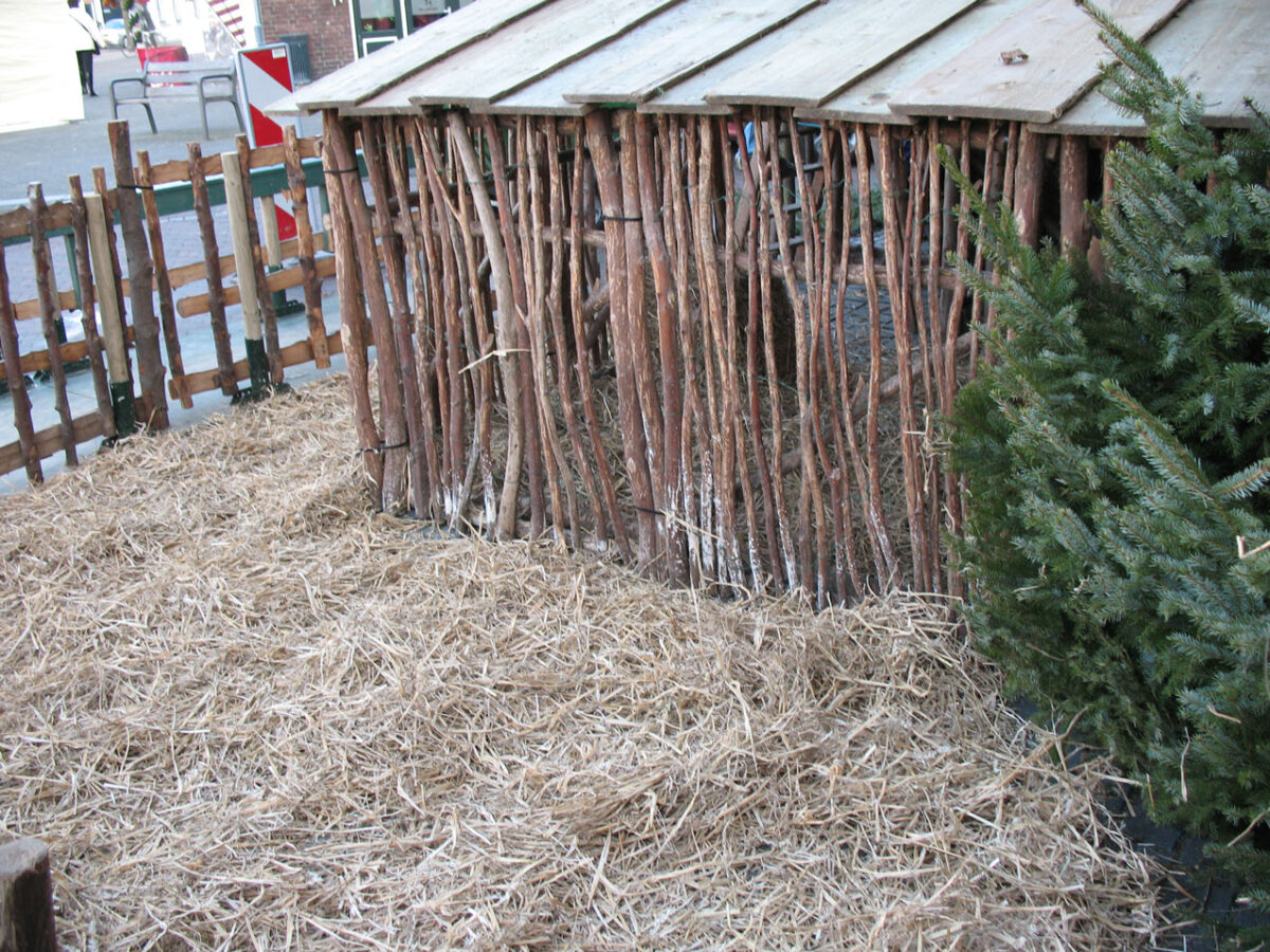 opbouwen kerststal in Princenhage