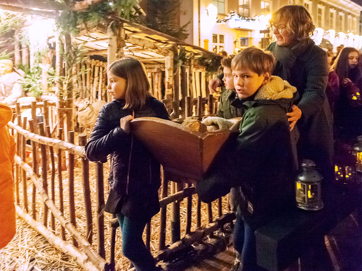 kribbe wordt naar de stal gedragen