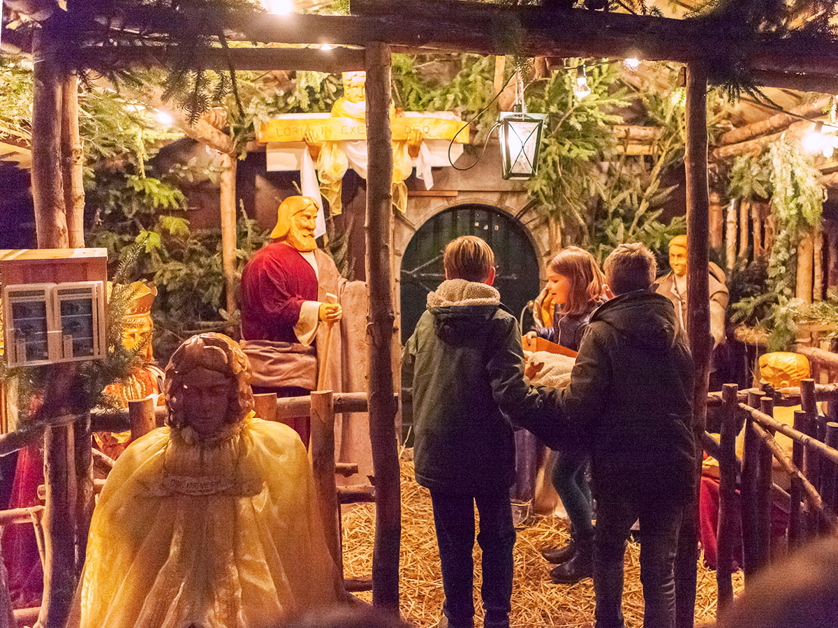 kribbe wordt in de stal gezet