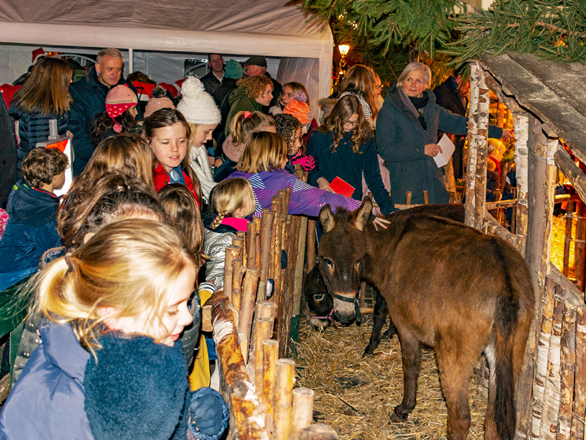 ezel in de kerststal