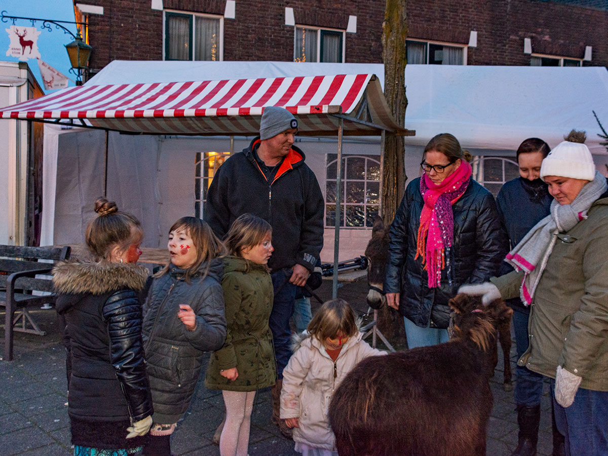 ezels worden gebracht