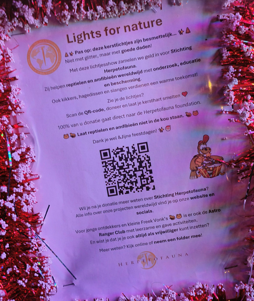 brief over het goede doel van de kerstcreatie