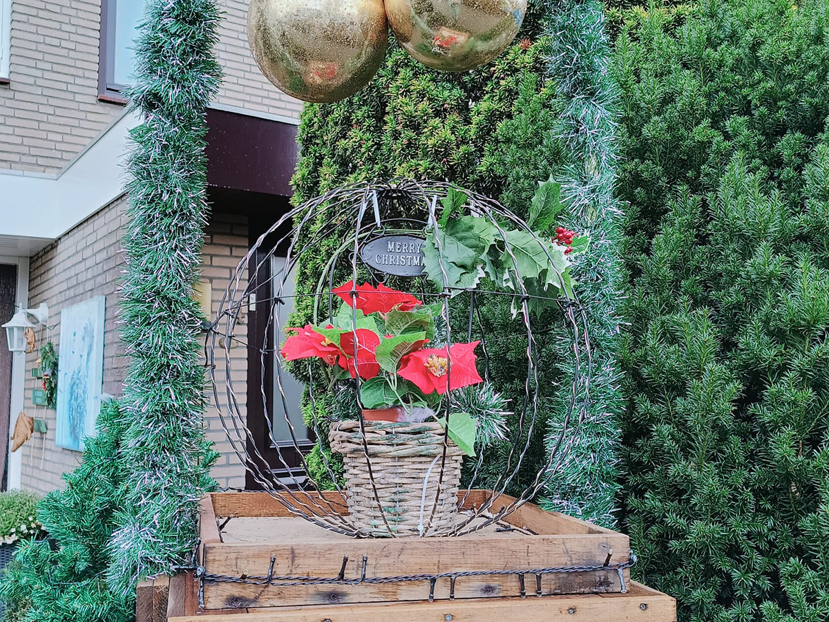 kerstroos op een plateau in een voortuin
